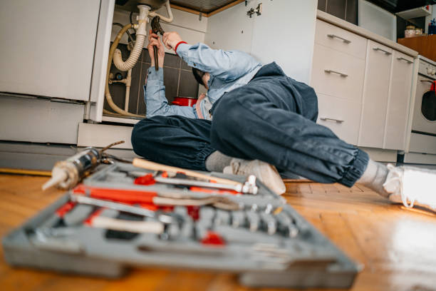 Best Commercial Plumbing Services  in Aledo, IL